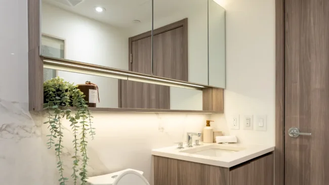 1 Bedroom Suite