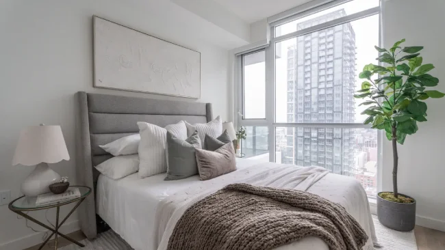 3 Bedroom Suite